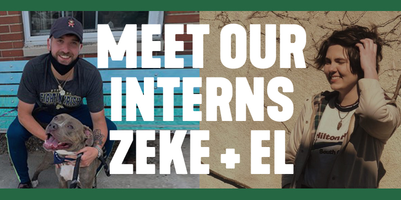 meet our interns image
