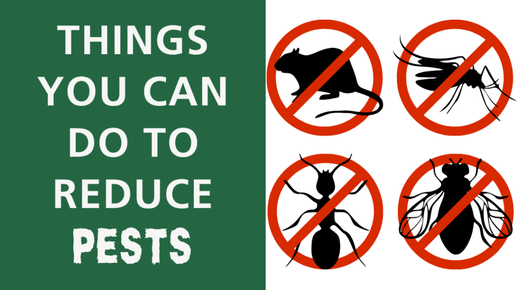 pest blog placeholder