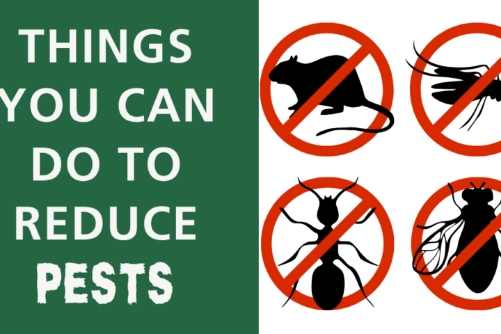 pest blog placeholder